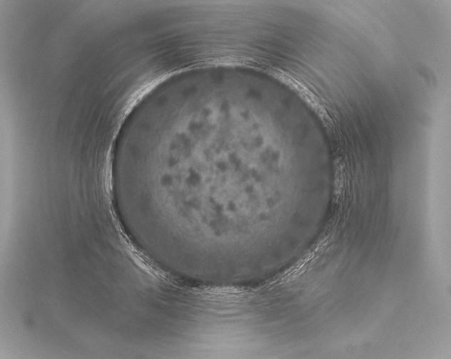 X0000115551031200911201756