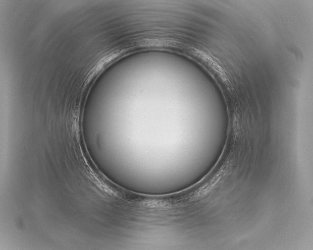 X0000115551033200911201756