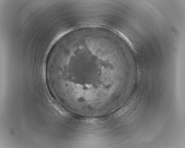 X0000115551035200911201756