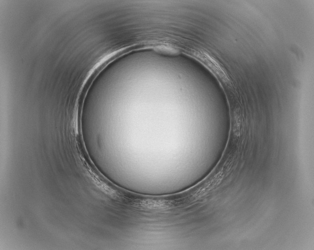 X0000115551036200911201756