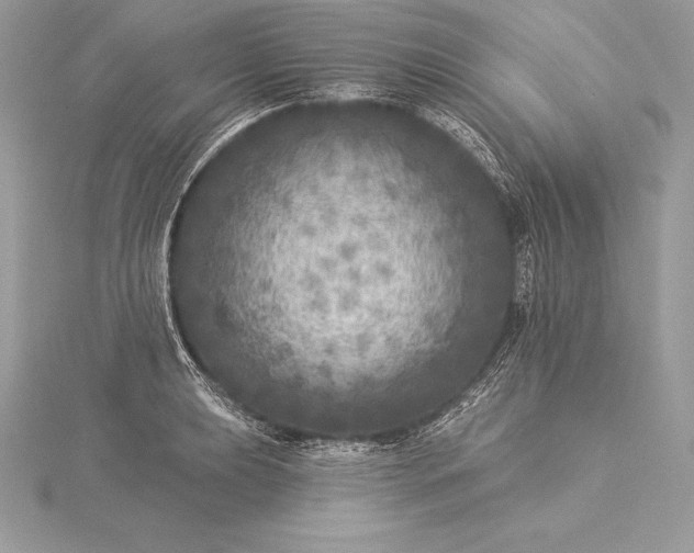 X0000115551039200911201756