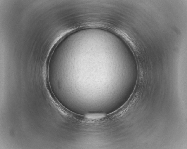 X0000115551040200911201756