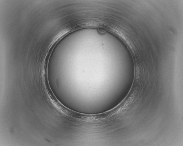 X0000115551042200911201756