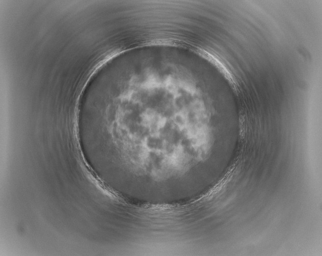 X0000115551043200911201756