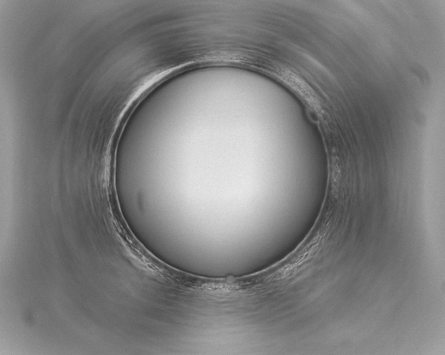 X0000115551044200911201756