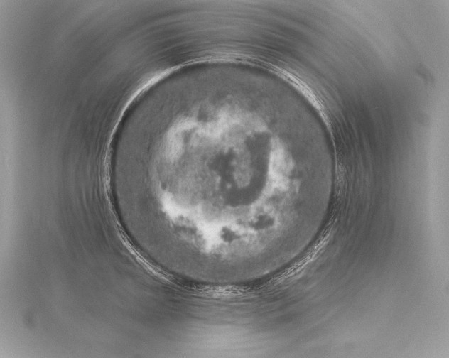 X0000115551045200911201756