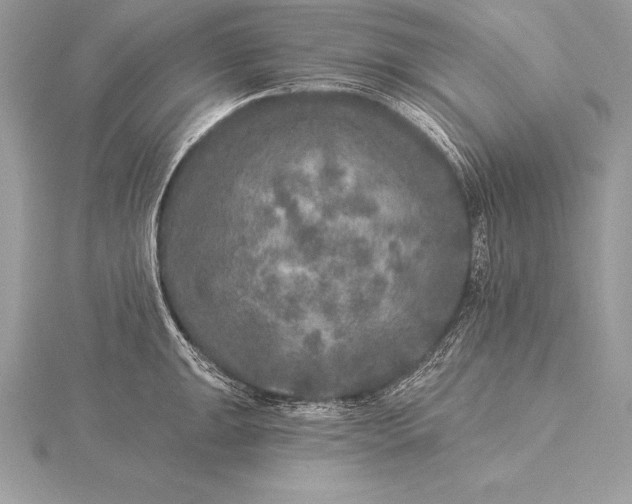 X0000115551047200911201756