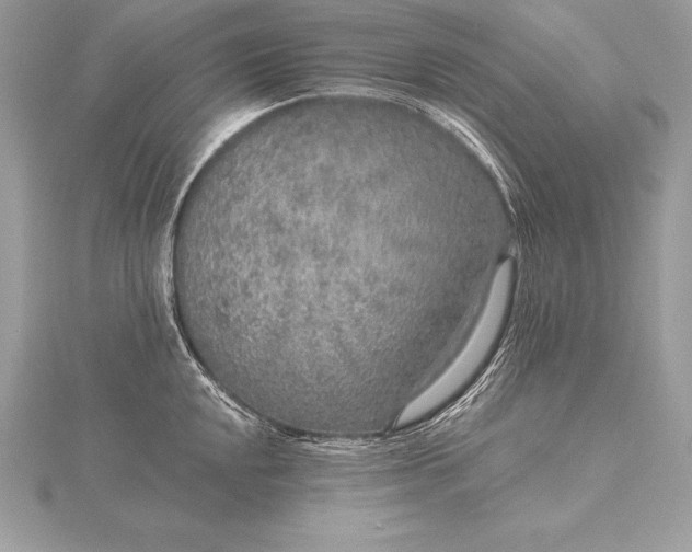 X0000115551048200911201756