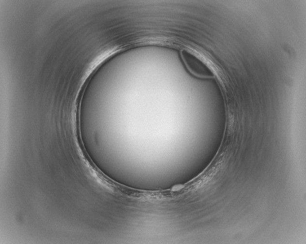 X0000115551050200911201756