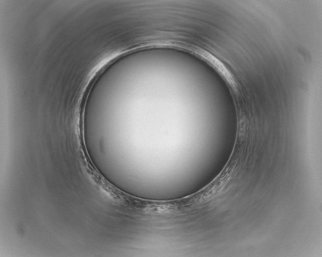 X0000115551051200911201756