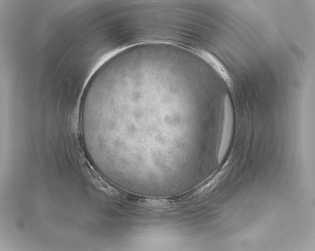 X0000115551052200911201756