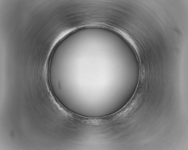 X0000115551053200911201756