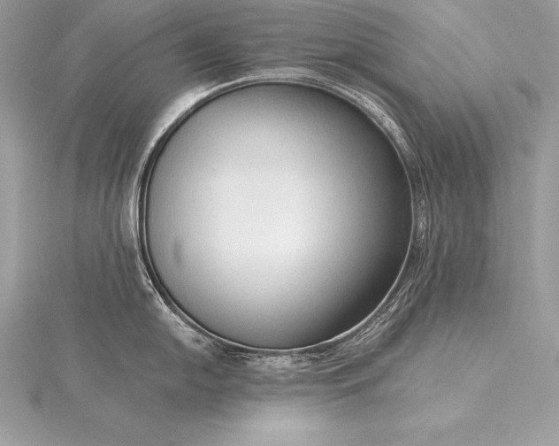 X0000115551054200911201757