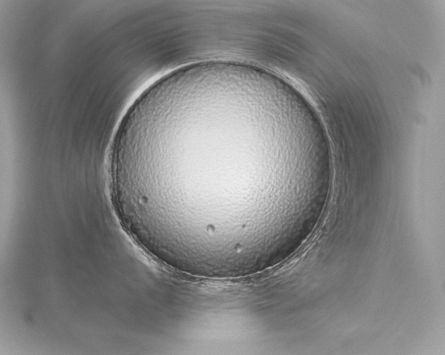 X0000115551056200911201757