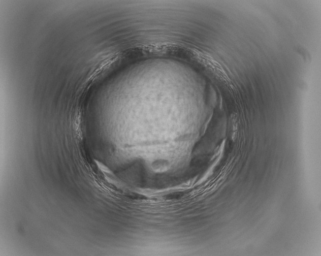 X0000115551060200911201756