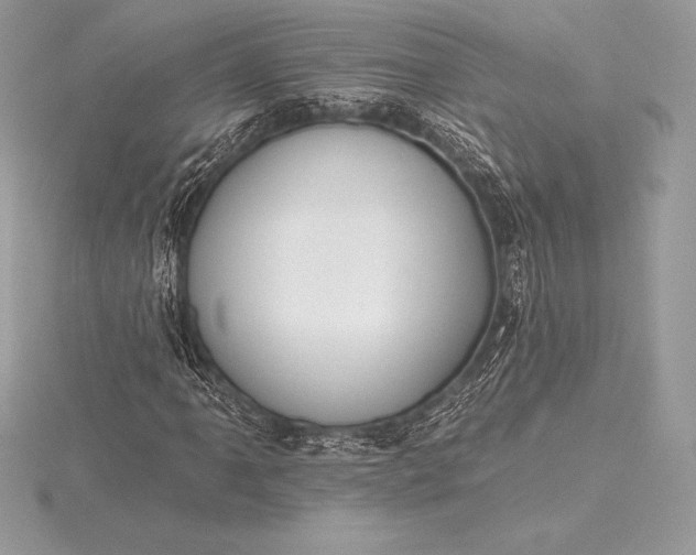 X0000115551061200911201756