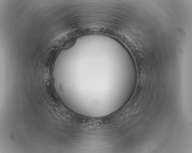 X0000115551062200911201756