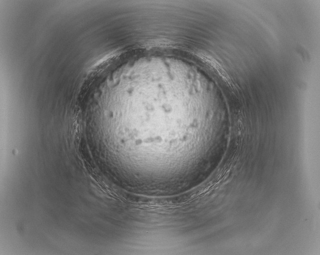 X0000115551063200911201756