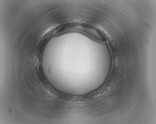 X0000115551064200911201756