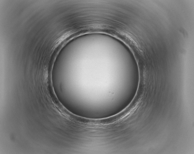 X0000115551065200911201756