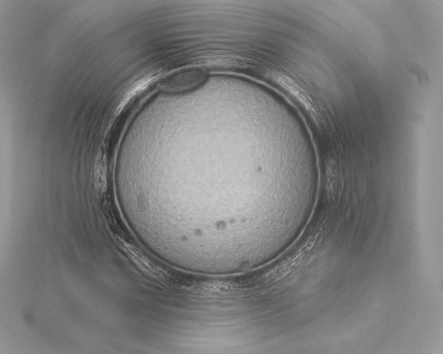 X0000115551067200911201756