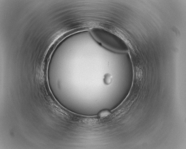 X0000115551068200911201756