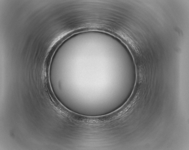 X0000115551070200911201756