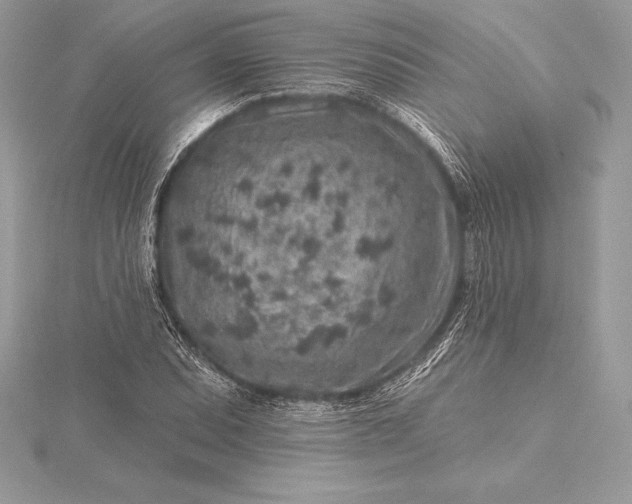 X0000115551071200911201756