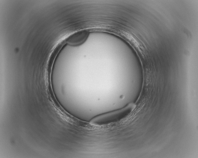 X0000115551072200911201756