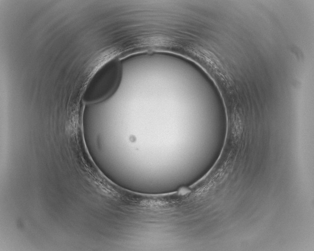 X0000115551073200911201756