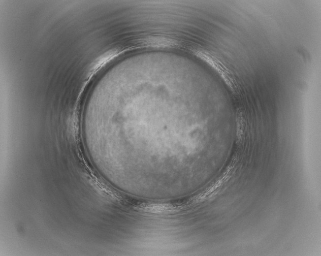 X0000115551074200911201756