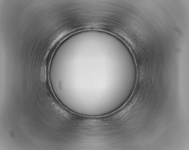 X0000115551075200911201756