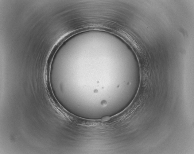 X0000115551076200911201756