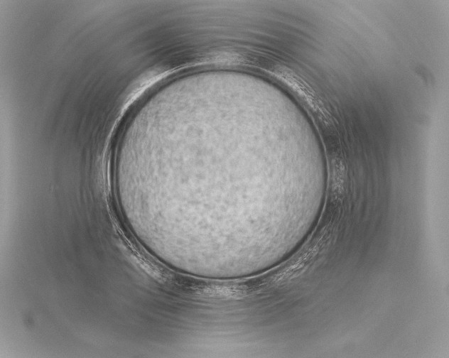 X0000115551078200911201755