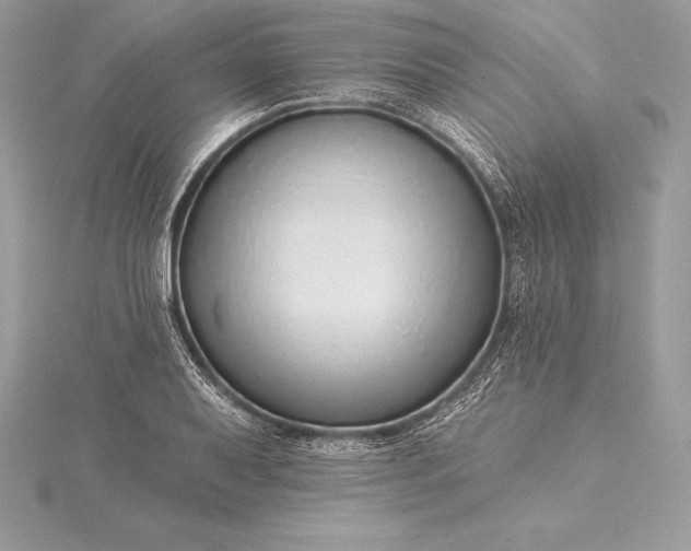 X0000115551079200911201755