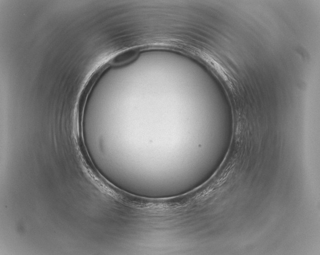 X0000115551080200911201755