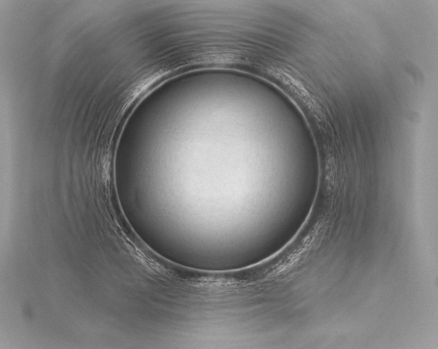 X0000115551081200911201755