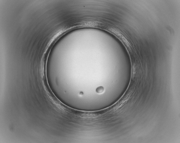 X0000115551083200911201755