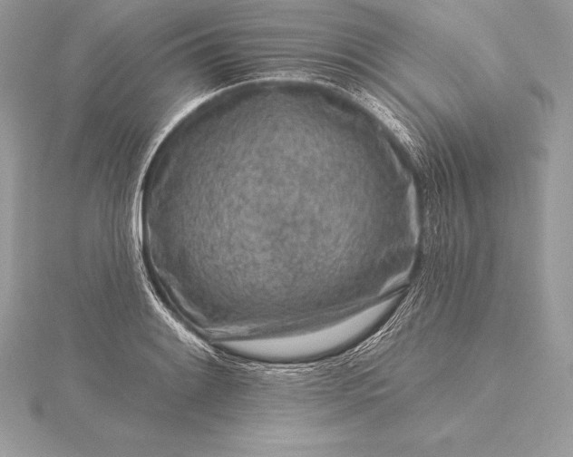 X0000115551084200911201755