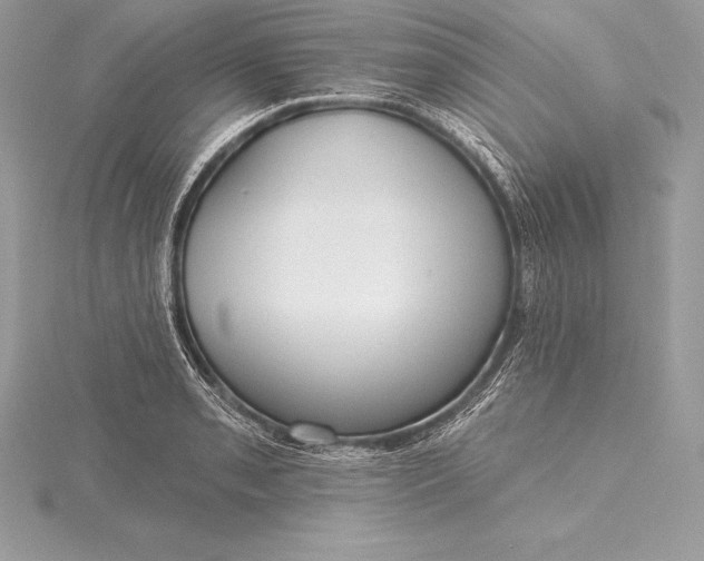 X0000115551085200911201755