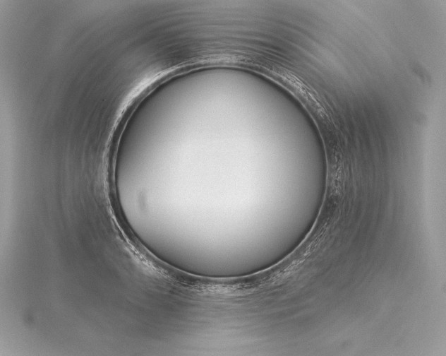 X0000115551086200911201755