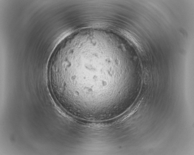 X0000115551087200911201755