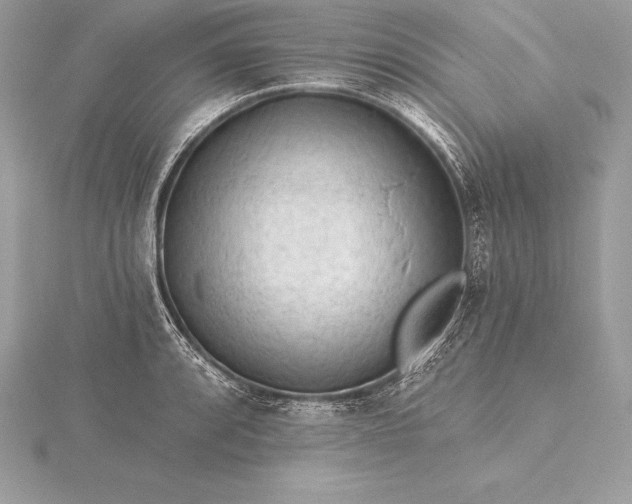 X0000115551088200911201755