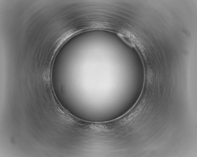 X0000115551089200911201755