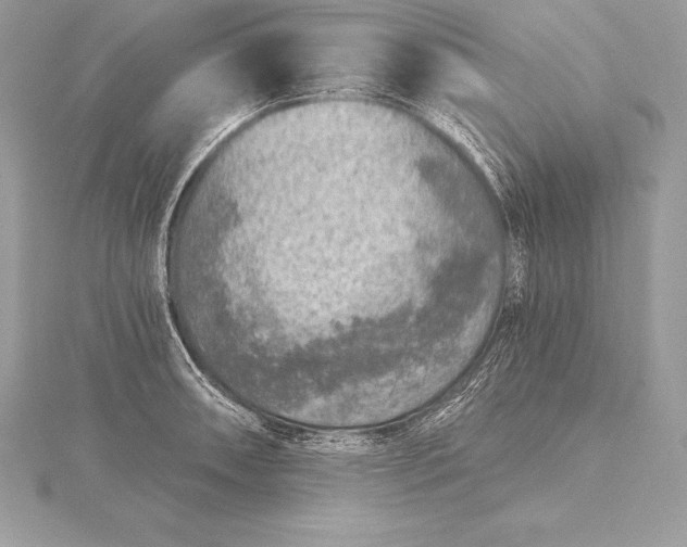 X0000115551090200911201755