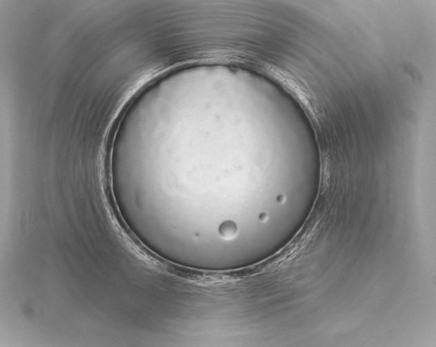 X0000115551091200911201755