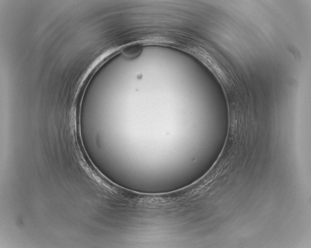 X0000115551092200911201755