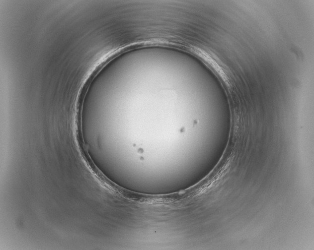 X0000115551093200911201755