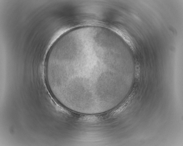 X0000115551094200911201755