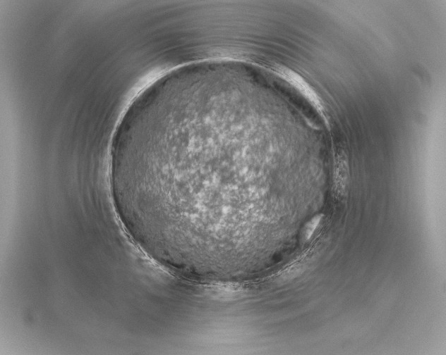 X0000115551096200911201755